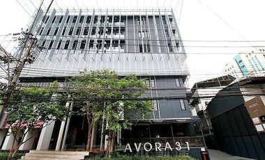 Avora 31