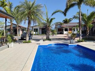 The Palm Village