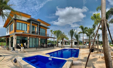 The Palm Village