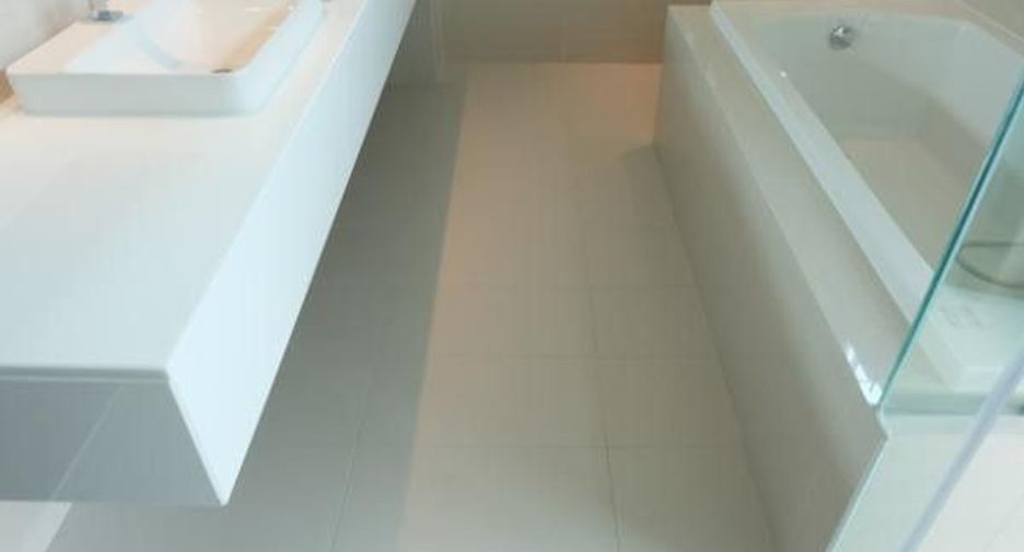 The park lane 22