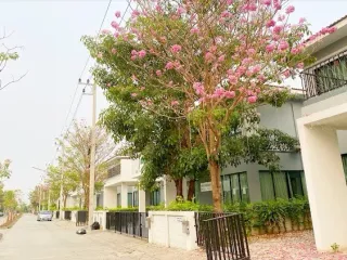 หมู่บ้านเดอะเฮอริเทจ