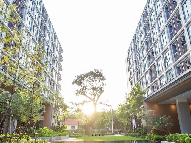 Serenity Condominium