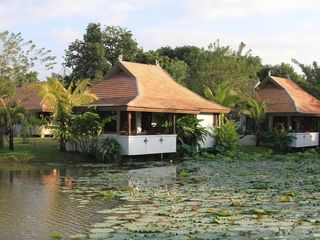 Jasmine Hills