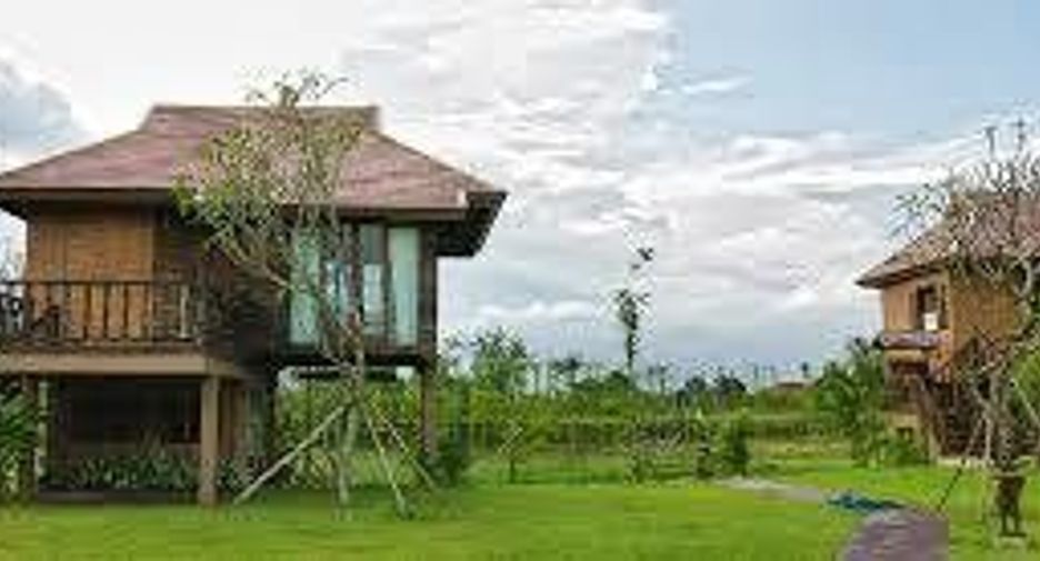 Jasmine Hills