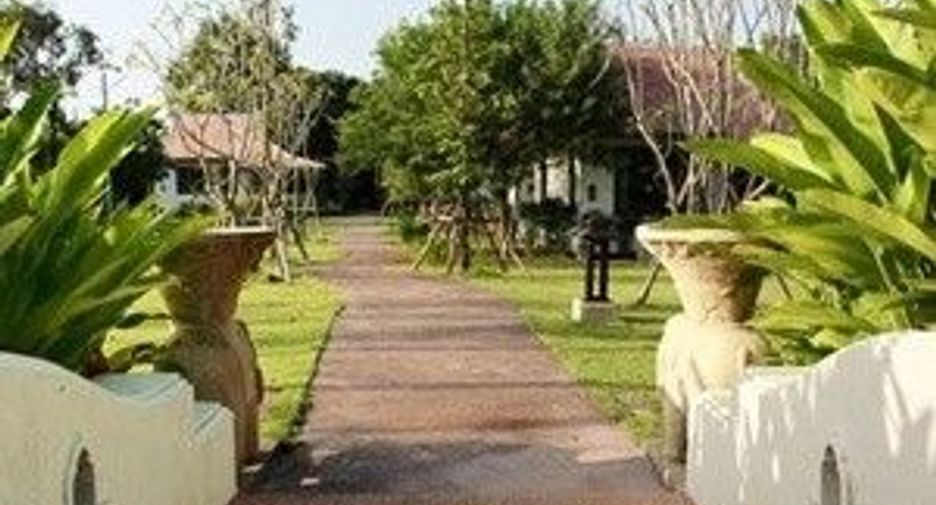 Jasmine Hills