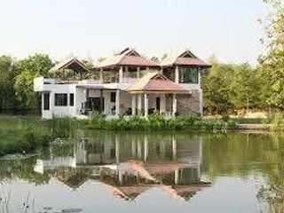 Jasmine Hills