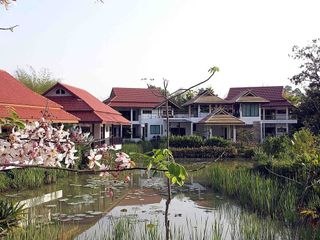 Jasmine Hills