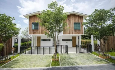 Mono Ko Kaeo