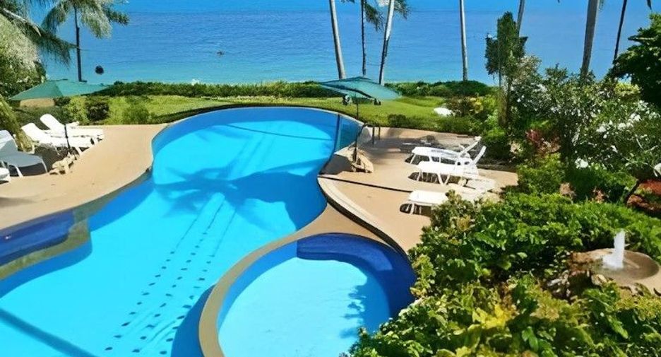 Coconut Paradise