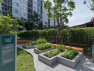 Plum Condo Rama 2