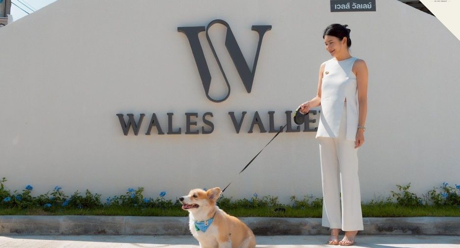 Wales Valley by Life Phuket