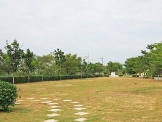 พานาปาร์ค