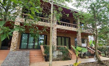 Erika's House