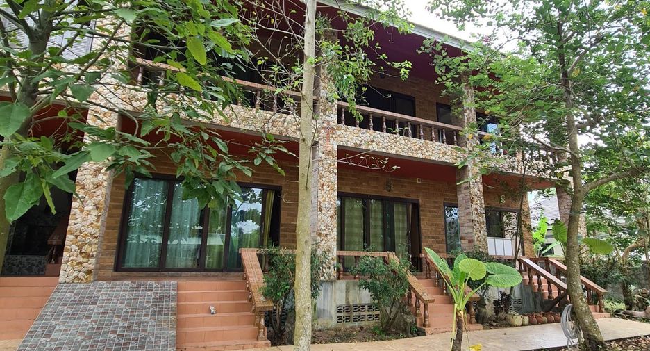 Erika's House