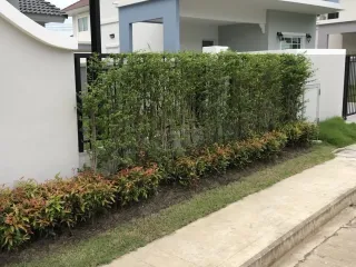 Perfect Park Suvannabhumi 4