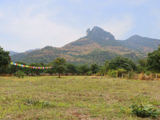 Mountain Garden Villa, Dolphin Bay