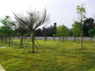 Baan Fah Sai 6 The Space