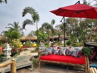 Jungle Moon Homestay