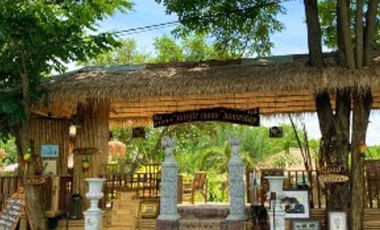 Jungo Moon Homestay