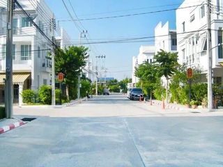 川春乍兰3