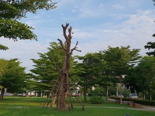 พฤกษาวิลเลจ เดอะซีซัน แจ้งวัฒนะ-ราชพฤกษ์