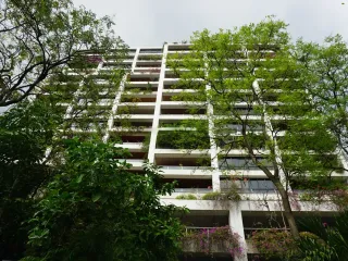 โปโล พาร์ค