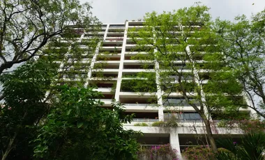 Polo Park