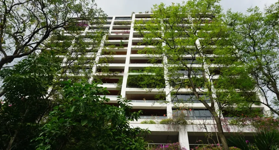 Polo Park
