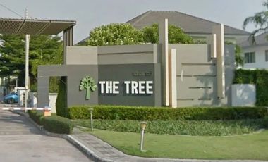 The Tree Si Racha