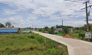 New Town City Nong Khri