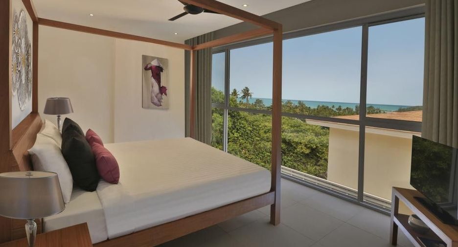 Samui Blue Orchid