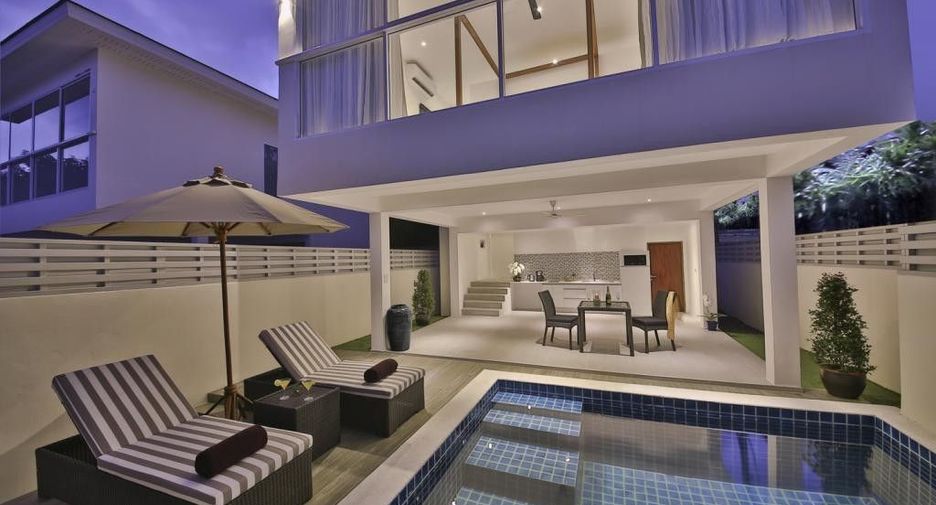 Samui Blue Orchid