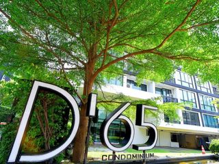 D 65