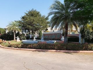 The Palm City