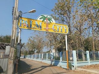 The Palm City