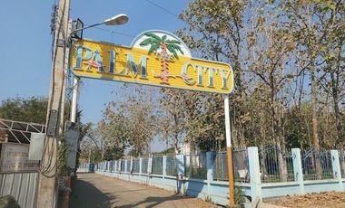 The Palm City