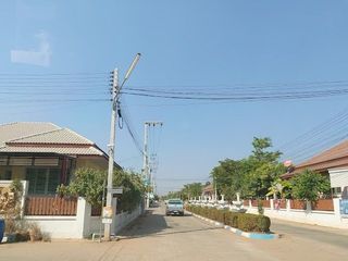 The Palm City