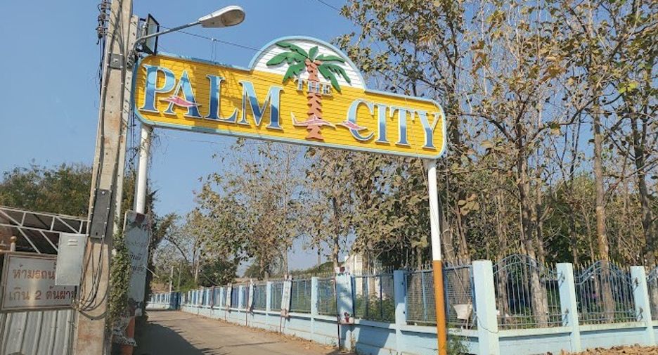 The Palm City