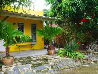 Mama Forest Bungalow