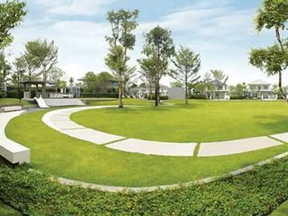 The Palm Garden 7