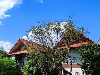 Chiang Mai Lake Land