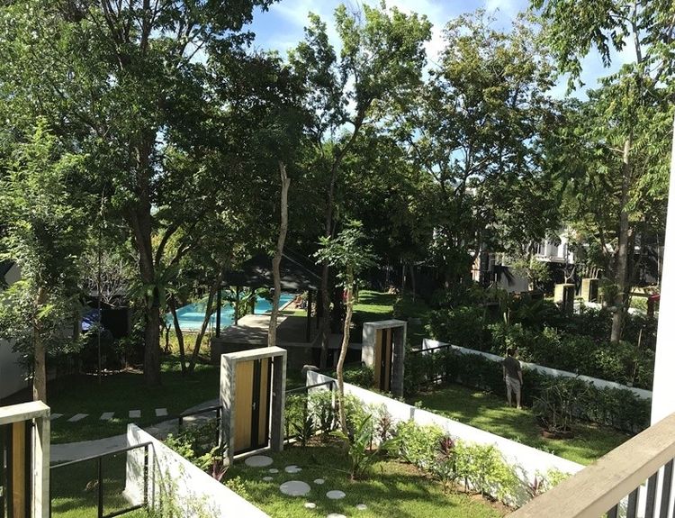 Forest Hill condo Surat Thani Hipflat