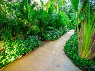 Nai Harn Beach‎ Condominium