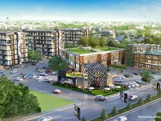 Pong Yang Vingt Chiang Mai