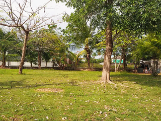 Phuket Inter Villa