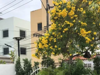 木班 埃卡蒙空