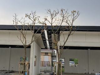 Baan Pruksa 70