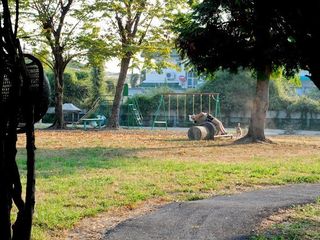 The Emerald Garden & Sport Club