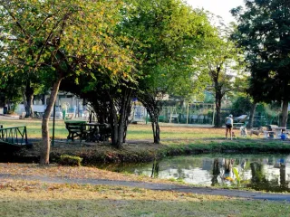 The Emerald Garden & Sport Club