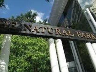 The Natural Park Apartment